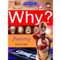 Anatomy