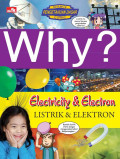Why? Electricity & Electron